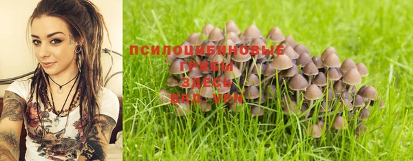эйфоретик Алексеевка
