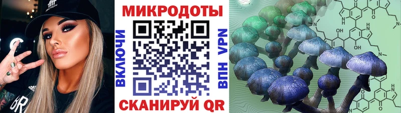 Галлюциногенные грибы мицелий  сколько стоит  Туймазы 